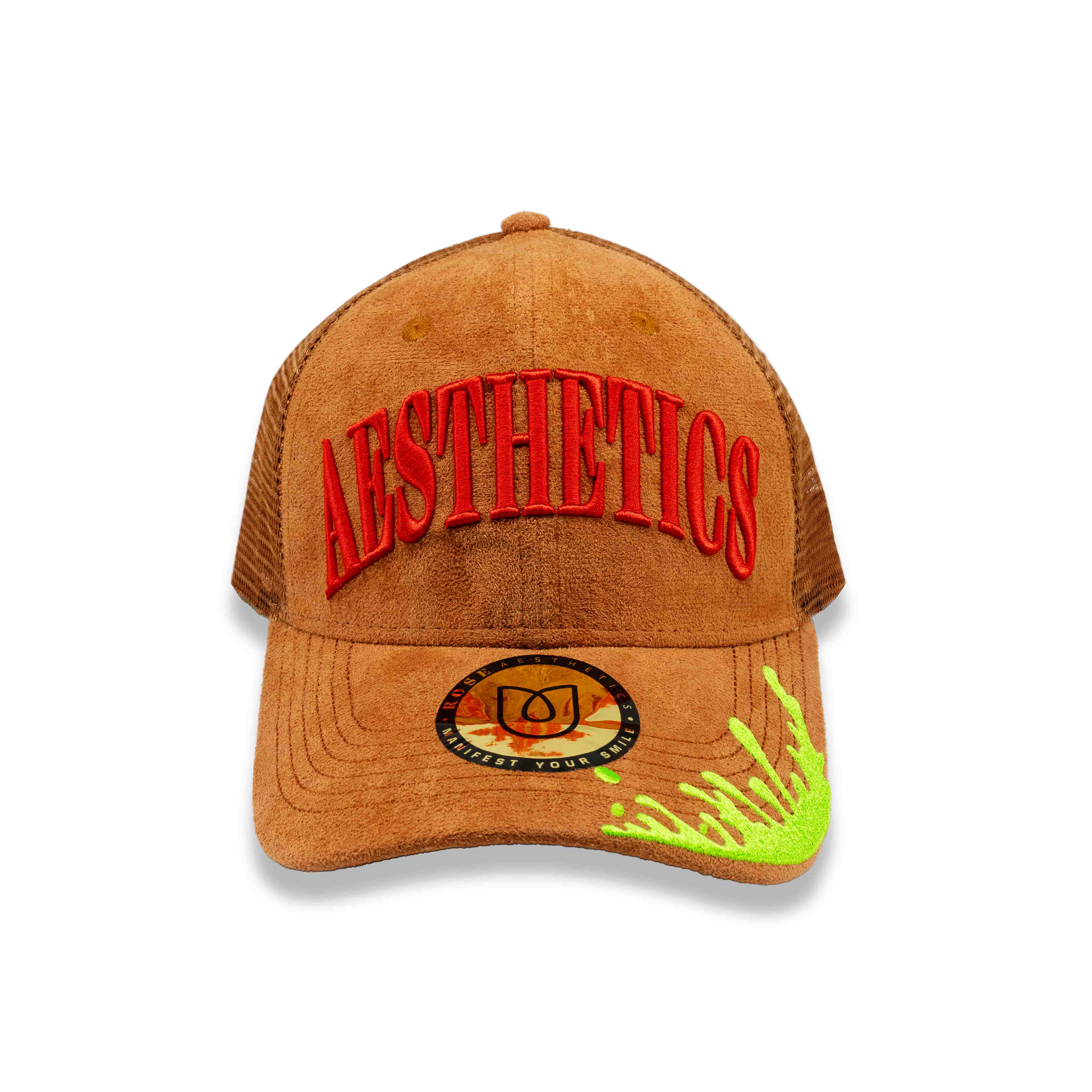 Aesthetics Logo Hat